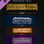 Pillars of Eternity II: Deadfire - Season Pass Steam Key GLOBAL
