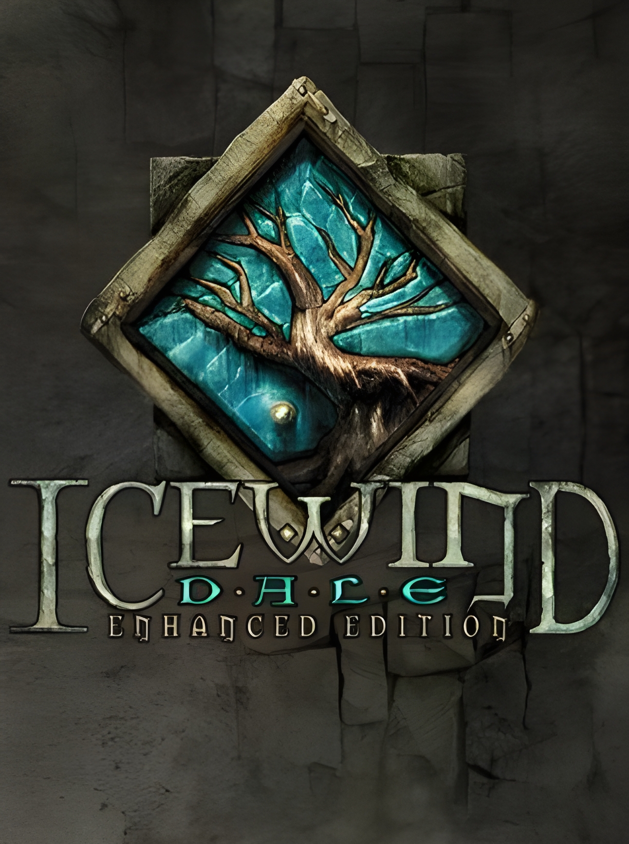 product-10000003338.png Icewind Dale: Enhanced Edition Steam Key GLOBAL - Image 1
