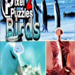 Pixel Puzzles 2: Birds Steam Key GLOBAL